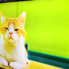 ハイセンス 4K 43インチテレビ A6100　（ジャンク）の画像
