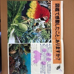 絵本図鑑の画像