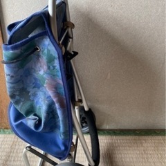 キャリーカート　キャリーバックの画像