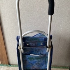 キャリーカート　キャリーバックの画像