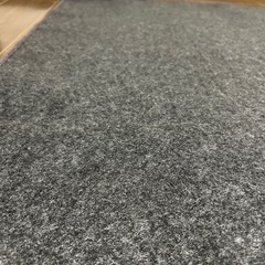 電気カーペットの画像