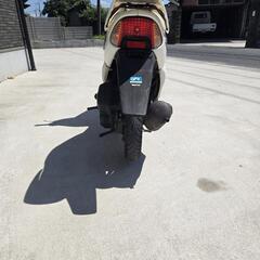 ホンダ　ディオ　AF35　ZX　原付　50CC　絶版　絶好調　通勤通学　ツーリングの画像