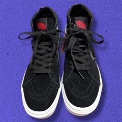 ✨極希少・新品✨VANS×Led Zeppelin SK8-HI 26cm の画像
