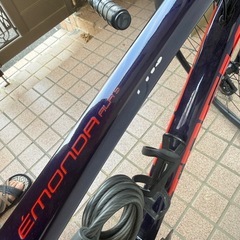 TREK EMONDA ALR5(2022)の画像