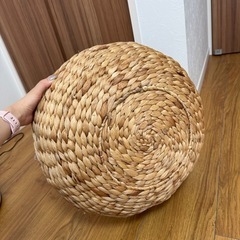 【決定】ペット  かごの画像