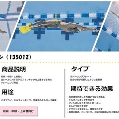 フリーダイビング FINIS練習用フォイルモノフィンの画像