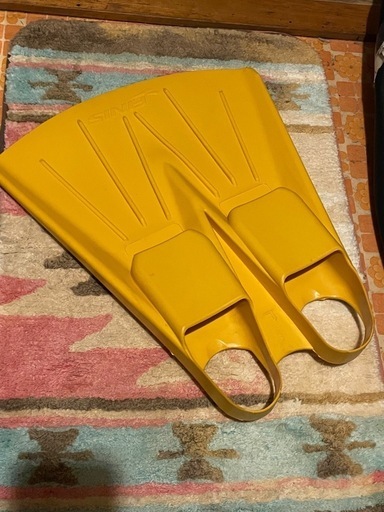 フリーダイビング FINIS練習用フォイルモノフィン