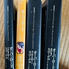 オーバーロードの画像