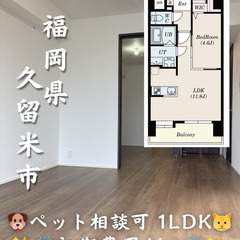 【初期費用ゼロ🙌】新築✨ 福岡県久留米市 1LDK 家賃7.9万...