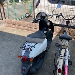 ホンダ　today 50cc
の画像