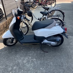ホンダ　today 50cc
の画像