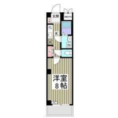 🧡💛敷金0・礼金0・仲介手数料0💛🧡北綾瀬駅徒歩7分🎶築6年🌈バ...