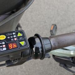 電動アシスト自転車　ビッケポーラーeの画像