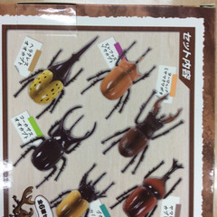 ★ 新品 カブト虫 クワガタ セット プルバック式 おもちゃの画像
