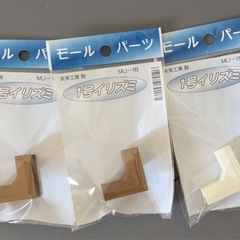 モール1号サイズの画像