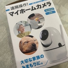 マイホームカメラの画像