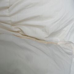 NITORI ニトリ羽毛布団　ダウン 210x190cm ボリュームタイプ　布団カバーおまけありの画像