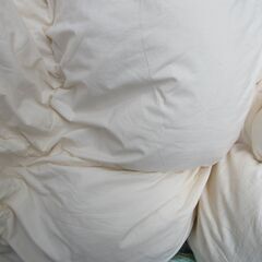 NITORI ニトリ羽毛布団　ダウン 210x190cm ボリュームタイプ　布団カバーおまけありの画像