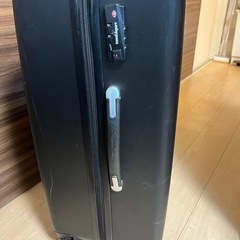 Lサイズトラベルキャリーバッグの画像