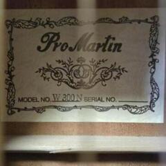 Pro Martin W300N 本体のみの画像