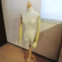 猫足手付きトルソー現金手渡し希望です。の画像