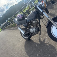 エイプの画像