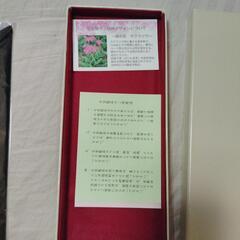七宝焼ペン皿の画像