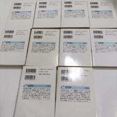 彩雲国物語　小説　雪乃紗衣　10冊の画像