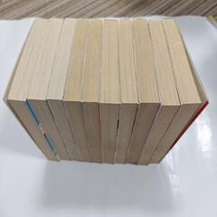 彩雲国物語　小説　雪乃紗衣　10冊の画像