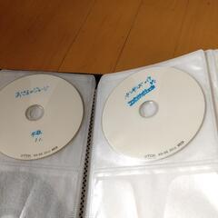 DVD収納ケース 黄緑②の画像