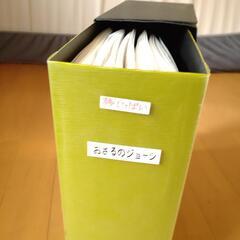 DVD収納ケース 黄緑②の画像