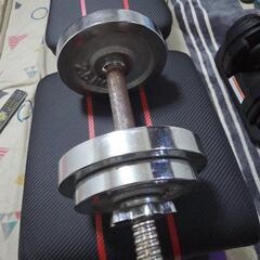 懸垂マシンとダンベルの画像