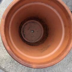 植木鉢　大型　陶器の画像