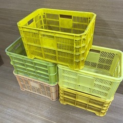 【メッシュコンテナ】　農業用　収納用　採集コンテナの画像