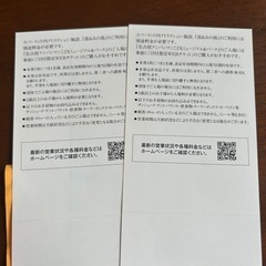 ナガシマジャンボ海水プール2025  チケット２枚 の画像