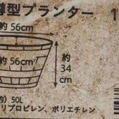 ②植木鉢　大型　ポリの画像