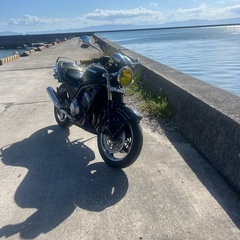 バリオス1型の画像
