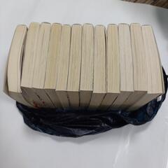 東方妖遊記　村田栞　12冊の画像