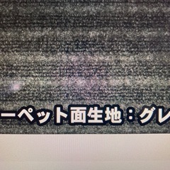 カーゴマットリバーシブル　一回使用の画像