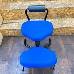 ジ377/ 脊椎矯正 姿勢矯正 健康増進 HAG original  背筋を伸ばす 健康 リラックス バランスチェア ブルー 学習椅子  5064の画像