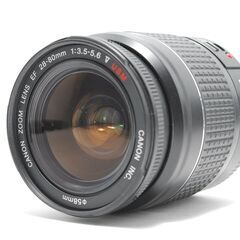  フルサイズの魅力満喫！ Canon 6D WiFi搭載 高性能AF の画像