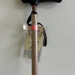 ⑥楽〜ダ　伸縮杖　新品の画像