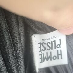 HOMME PLISSÉ ISSEY MIYAKE BASICS ジャケットの画像