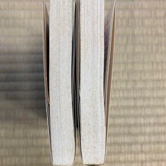 修羅の刻の12.13巻の画像
