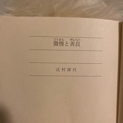 傲慢と善良の画像