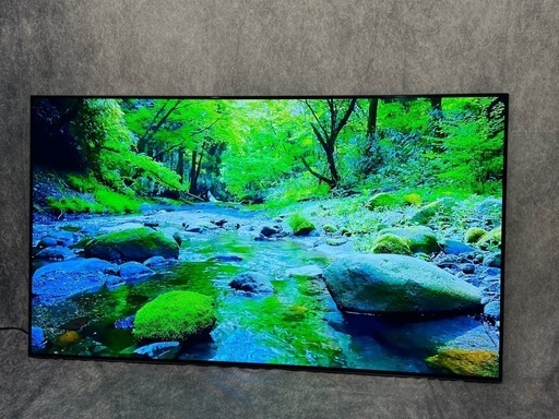 LG 55V型 4K対応 有機ELテレビ OLED55CXPJA「2021年製」