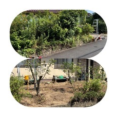 草刈り剪定）庭木の（剪定、伐採、草刈り、除草、ゴミ処分）