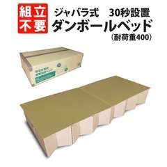 段ボールベッドの画像