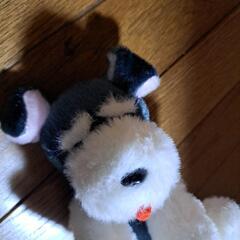 シュナとボブ　お耳たったよ！　ぬいぐるみ 新品未使用　シュナウザー犬　マスコットの画像