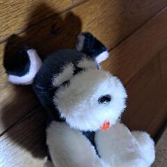 シュナとボブ　お耳たったよ！　ぬいぐるみ 新品未使用　シュナウザー犬　マスコットの画像